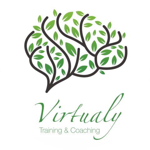 Virtualy Logo